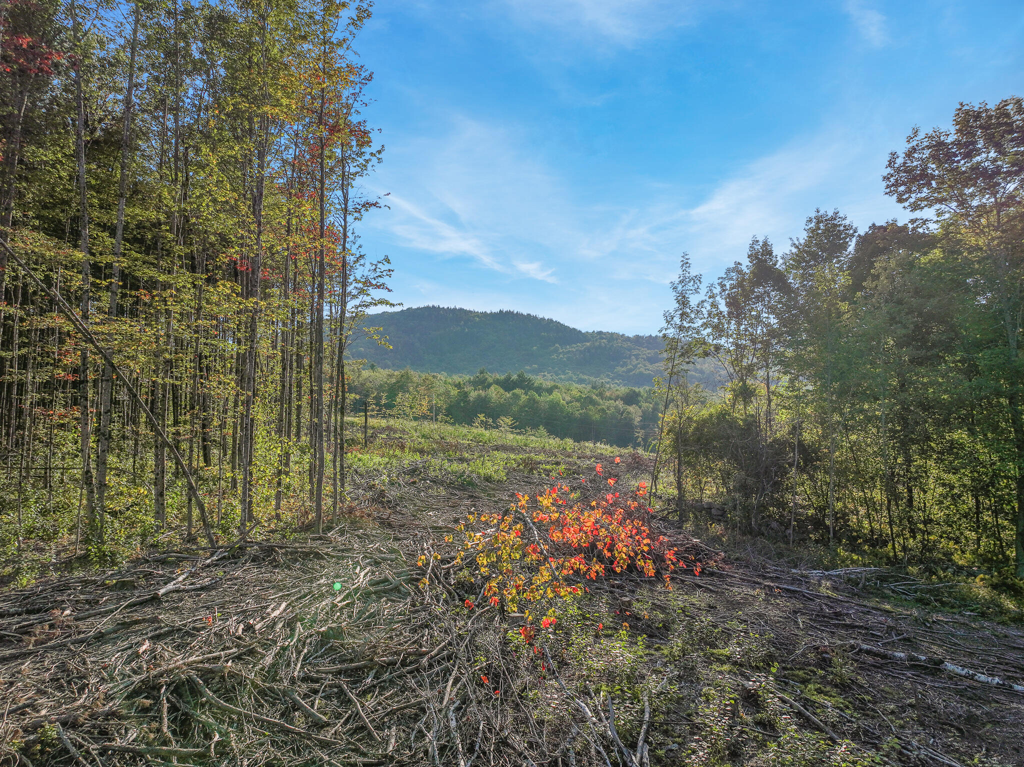 Lot # Eaton Hill Road Rumford, ME 04276 - Photo 1 of 17 6