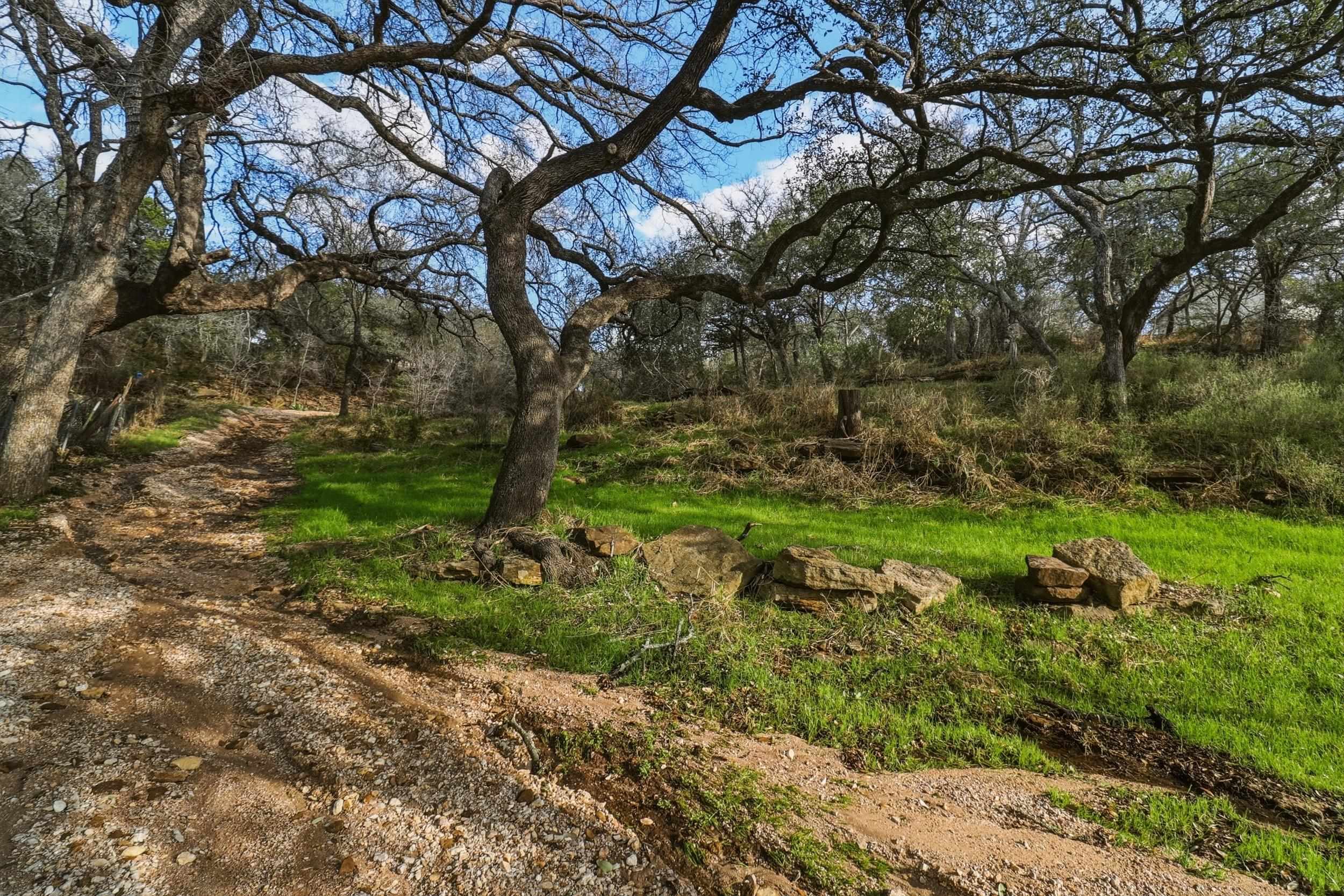 Tbd Sycamore Road Burnet, TX 78611 - Photo 13 of 14