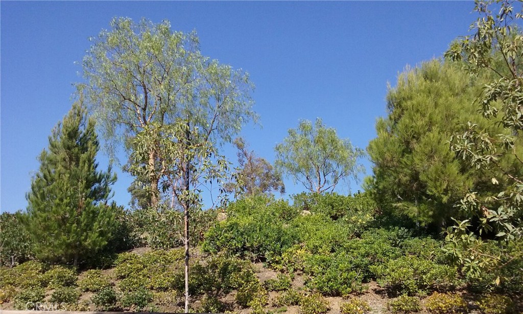 182 Working Ranch Irvine, CA 92602 - Photo 20 of 21 a view of a garden