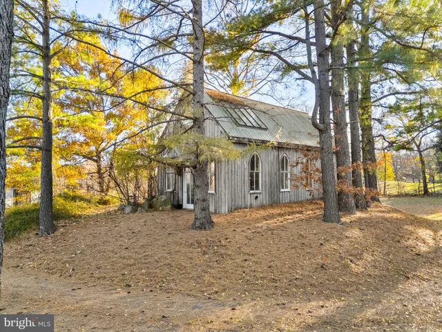 a view of a park with large trees