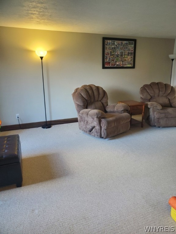 136 Rovner Place Hamburg, NY 14075 - Photo 12 of 45