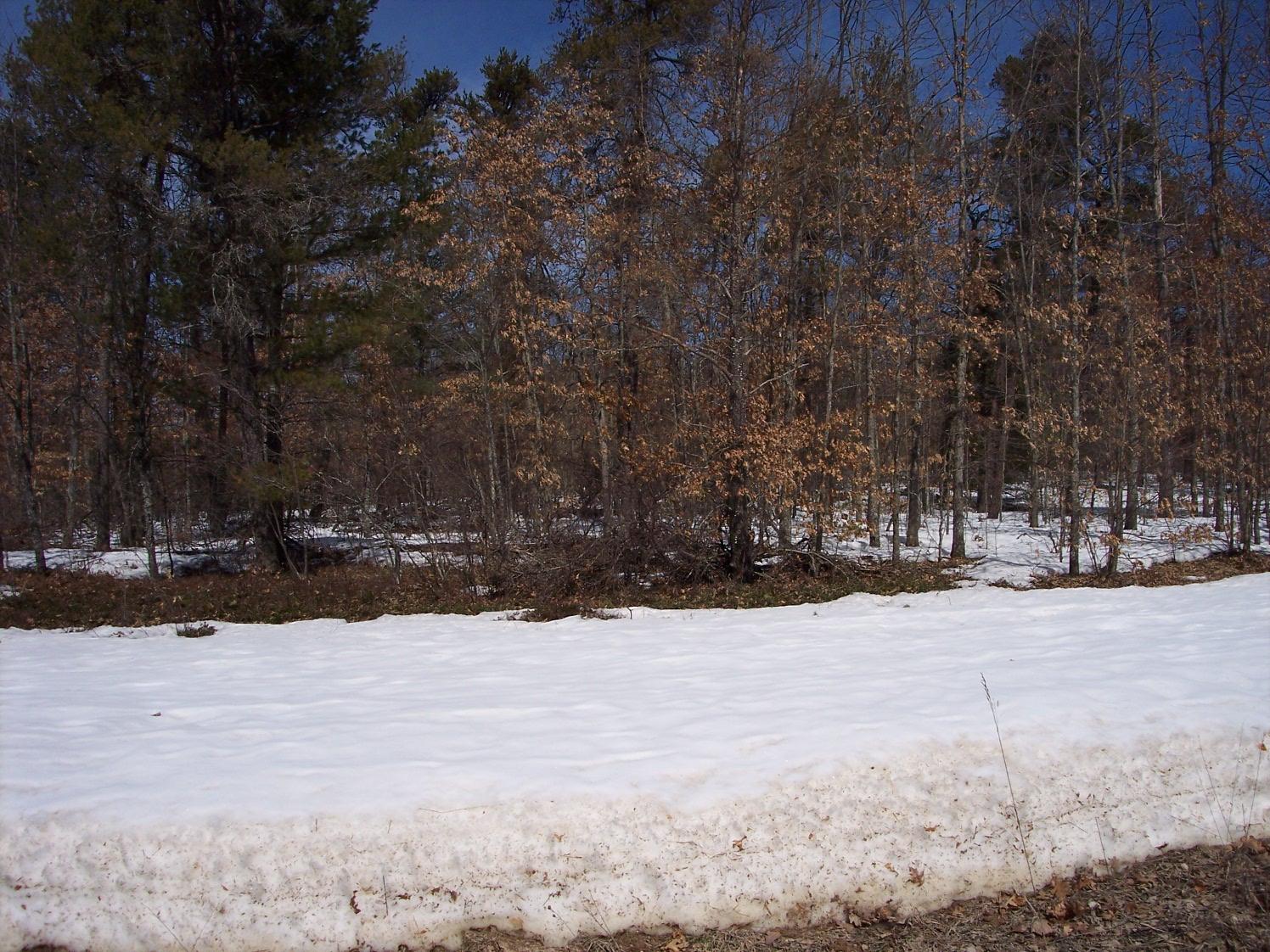 Aarons Road Lewiston, MI 49756 - Photo 4 of 8 Gallery Image 4