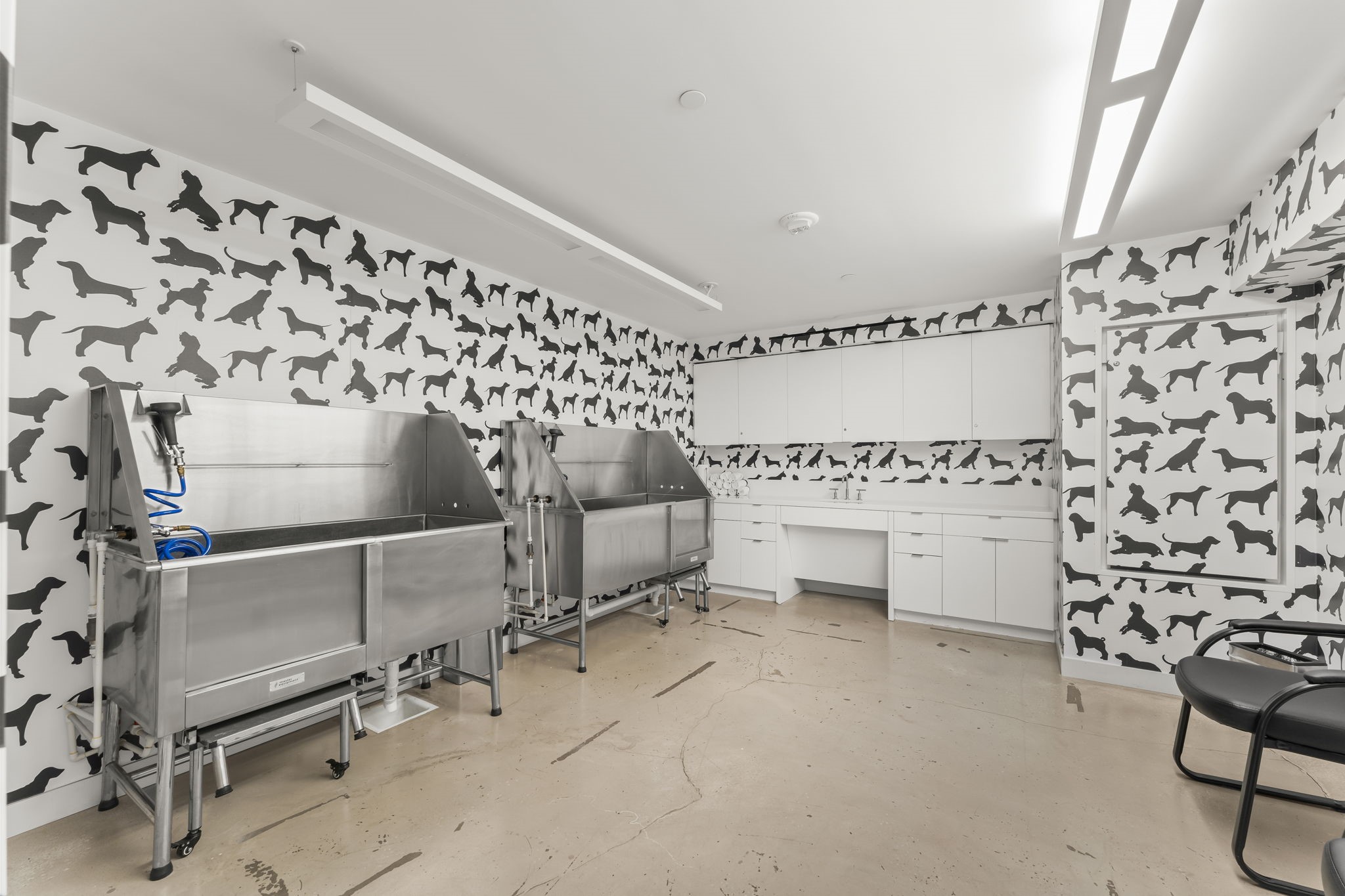 3433 Westheimer Road, Unit 1005 Houston, TX 77027 - Photo 39 of 47 On-site pet spa with elevated wash stations and grooming area—everyday convenience for four-legged residents.