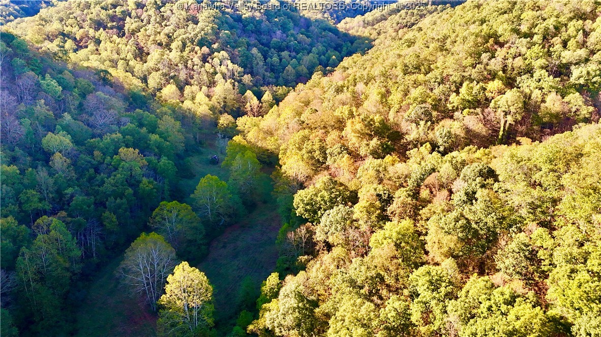 0 Harmons Creek Road Poca, WV 25159 - Photo 10 of 16 Gallery Image 10