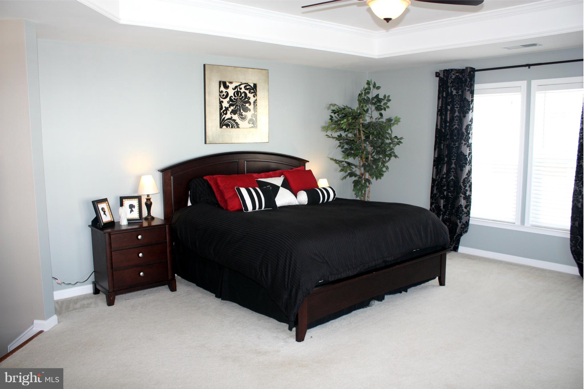 23364 Minerva Drive Ashburn, VA 20148 - Photo 22 of 30 Bedroom (Master)