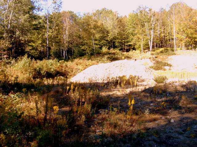 Land/Lot.