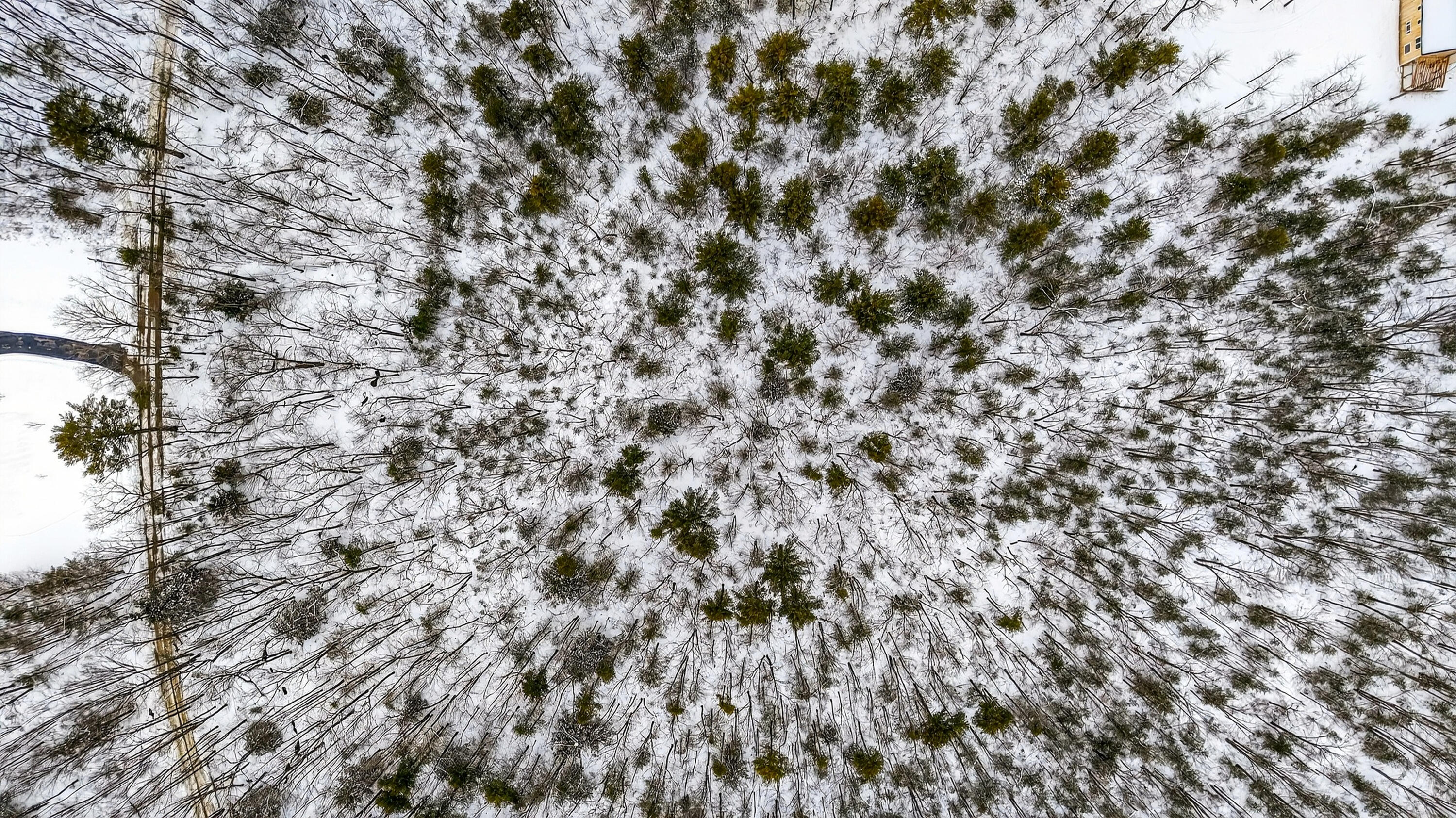 0 Cole Benson Road Kennebunkport, ME 04046 - Photo 4 of 18 DJI_20260211133433_0009_D