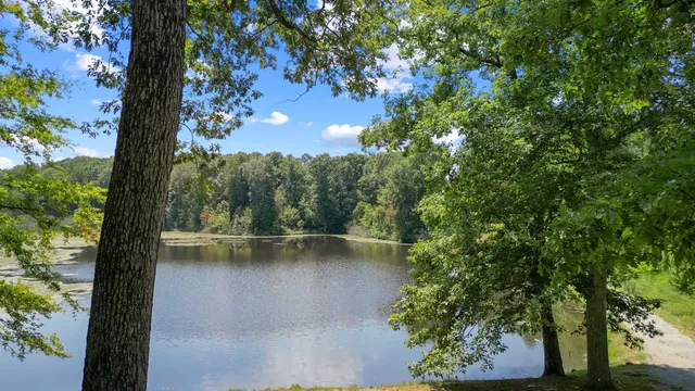 $574,900 | 10430 Highway 100, Henderson, TN 38340