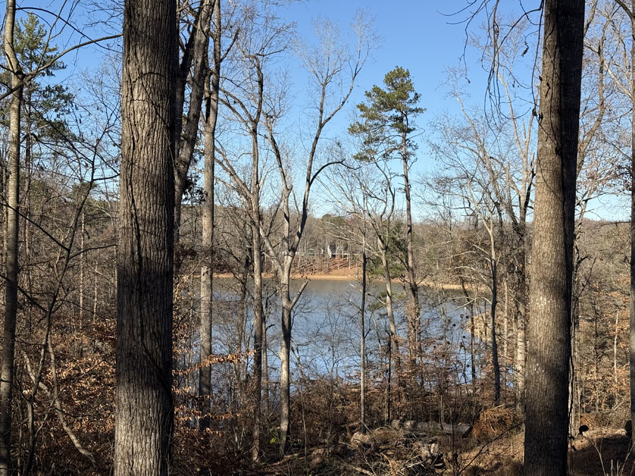 0 View Point Place Lavonia, GA 30553 - Photo 8 of 8