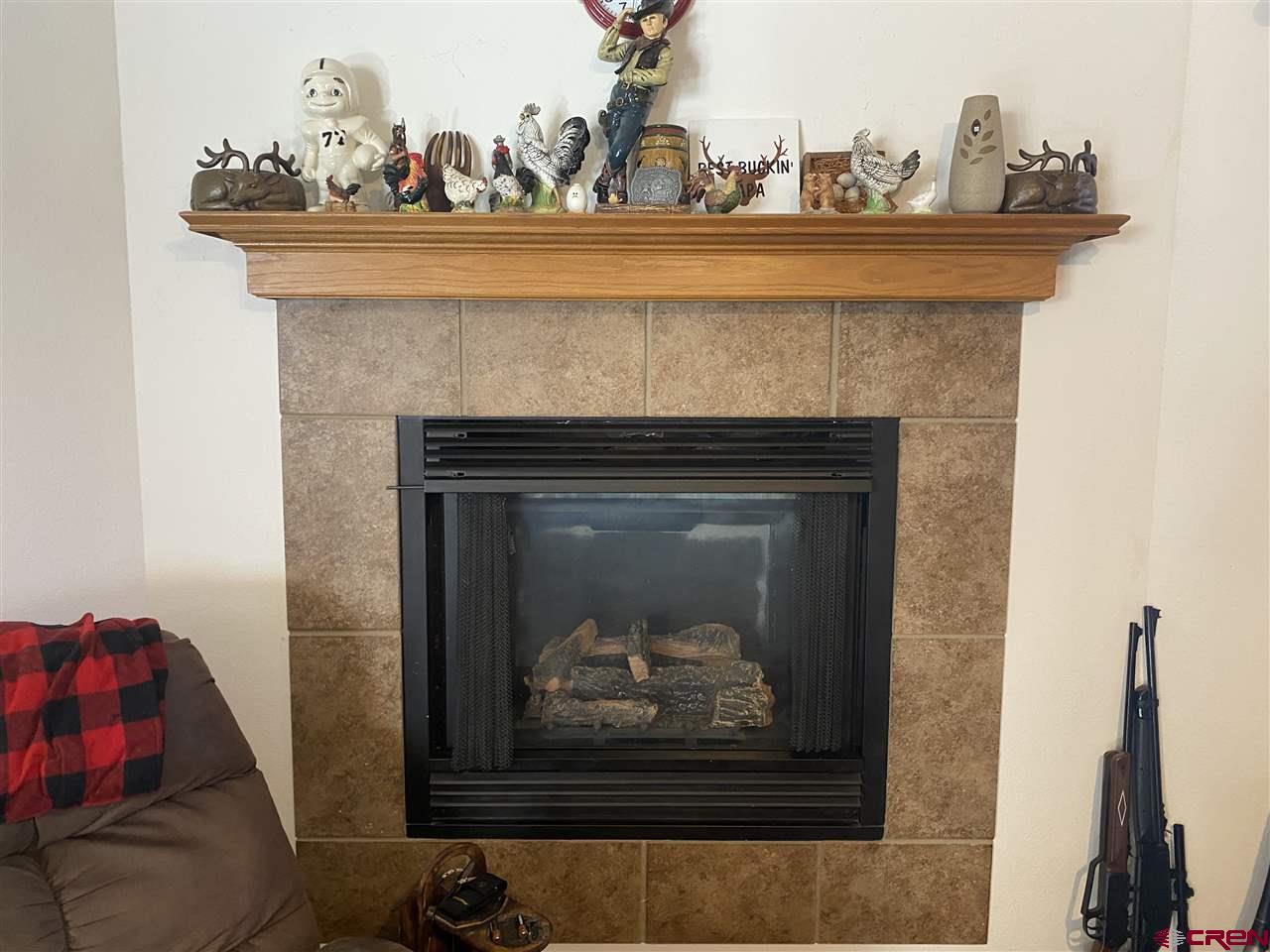 40355 D Road Crawford, CO 81415 - Photo 13 of 34 Gallery Image 13