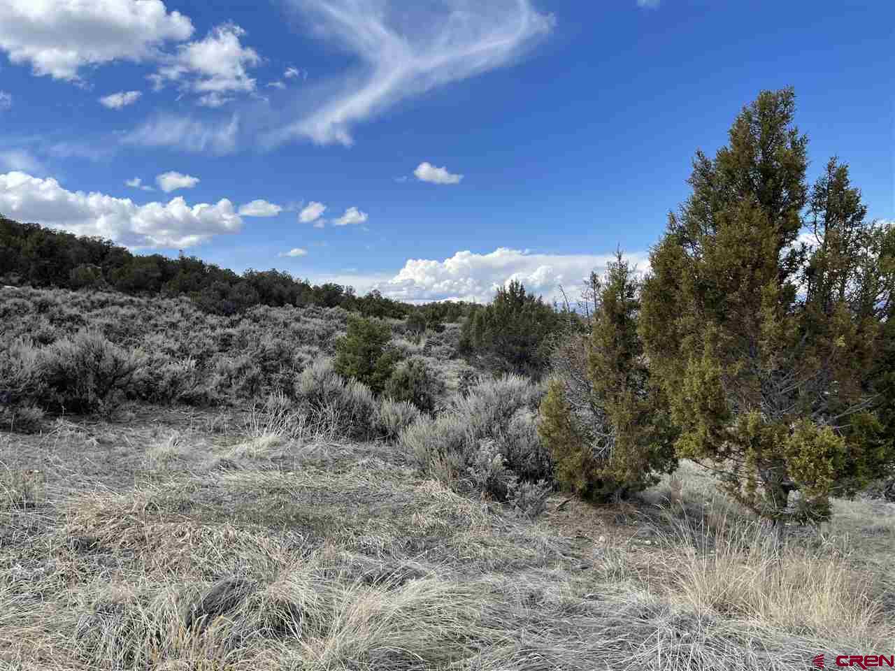 40355 D Road Crawford, CO 81415 - Photo 29 of 34 Gallery Image 29