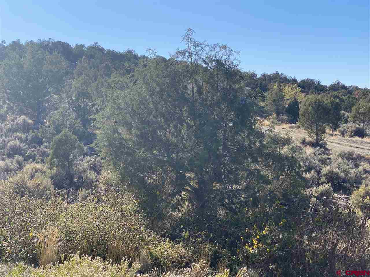40355 D Road Crawford, CO 81415 - Photo 32 of 34 Gallery Image 32