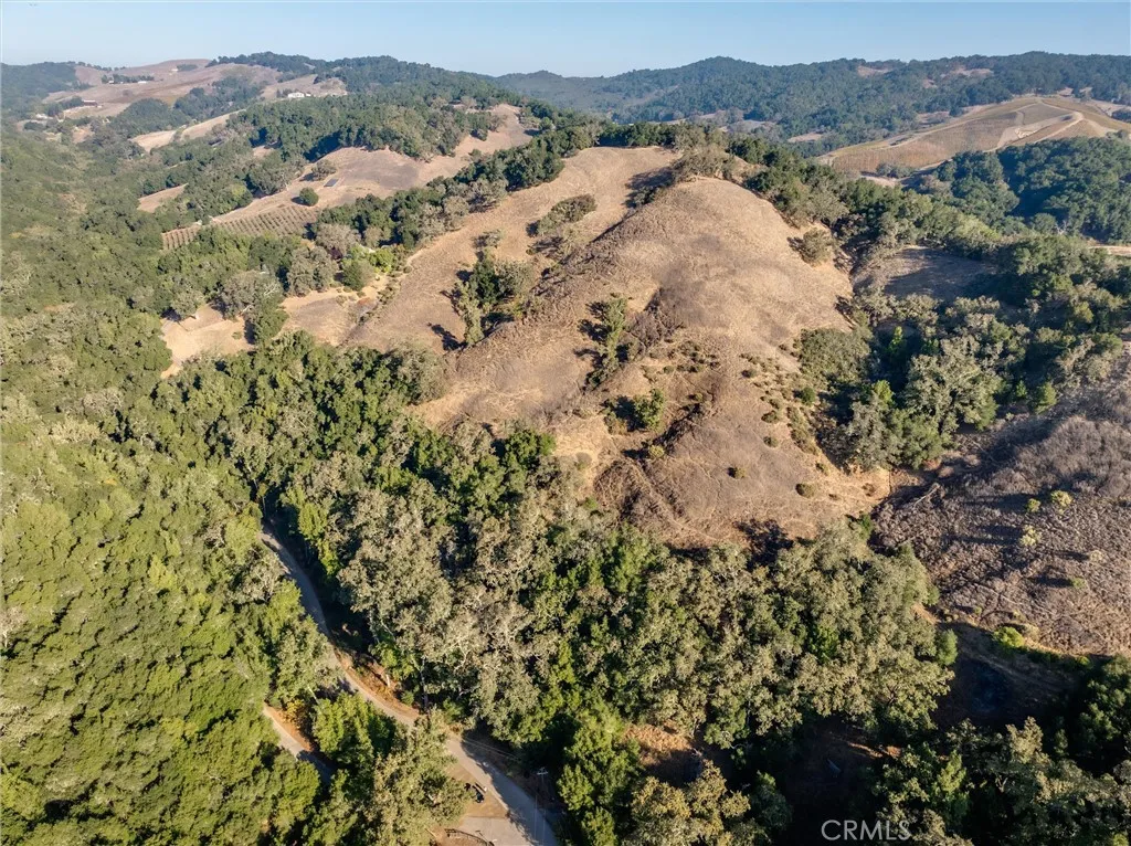 0 Shadow Canyon Road Templeton, CA 93465 - Photo 16 of 30 a view of a forest with a forest