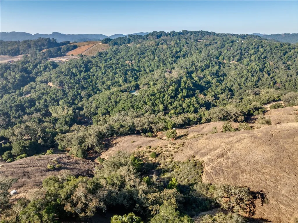 0 Shadow Canyon Road Templeton, CA 93465 - Photo 21 of 30 a view of a yard with a tree
