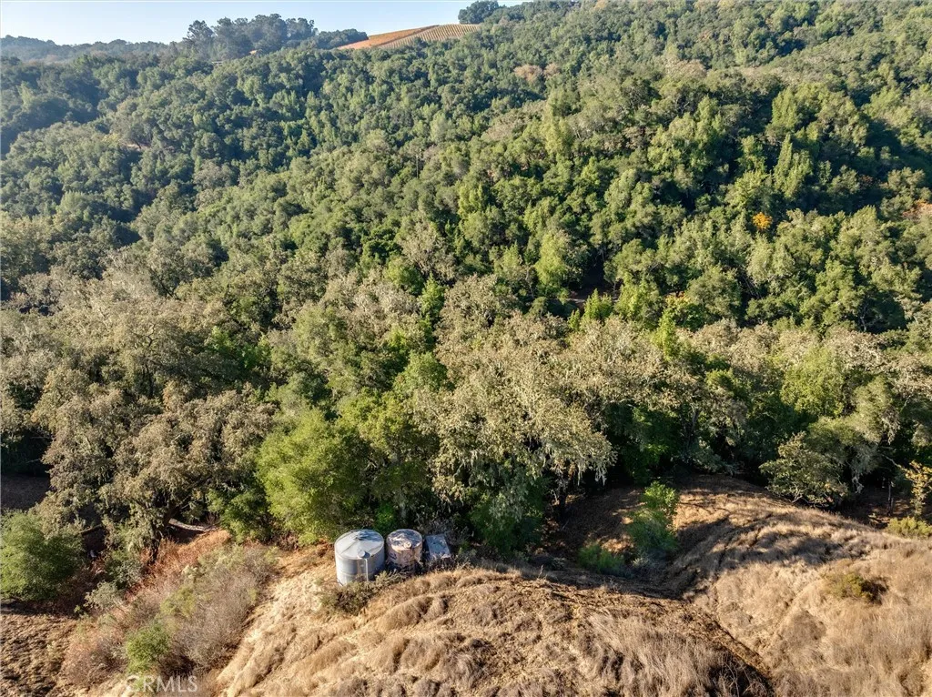 0 Shadow Canyon Road Templeton, CA 93465 - Photo 24 of 30 a view of a yard with a tree