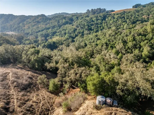 a view of a mountain in the distance in a field