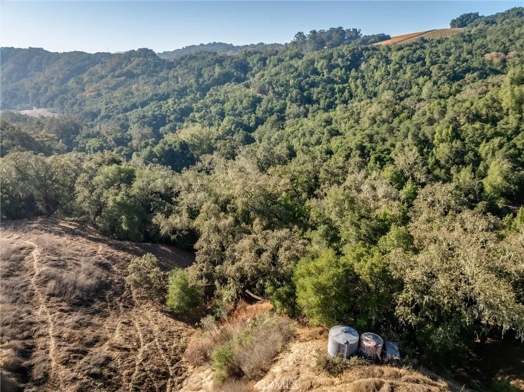 0 Shadow Canyon Road Templeton, CA 93465 - Photo 26 of 30 a view of a mountain in the distance in a field