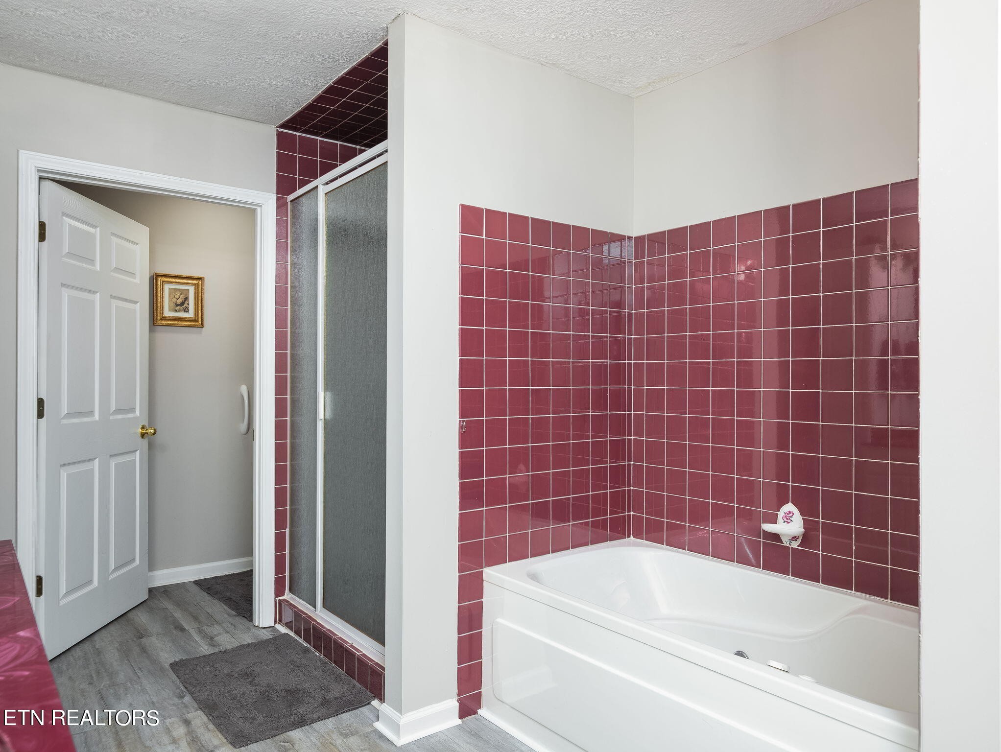 5316 Shipe Road Corryton, TN 37721 - Photo 21 of 36 a bathroom with a bathtub and a shower