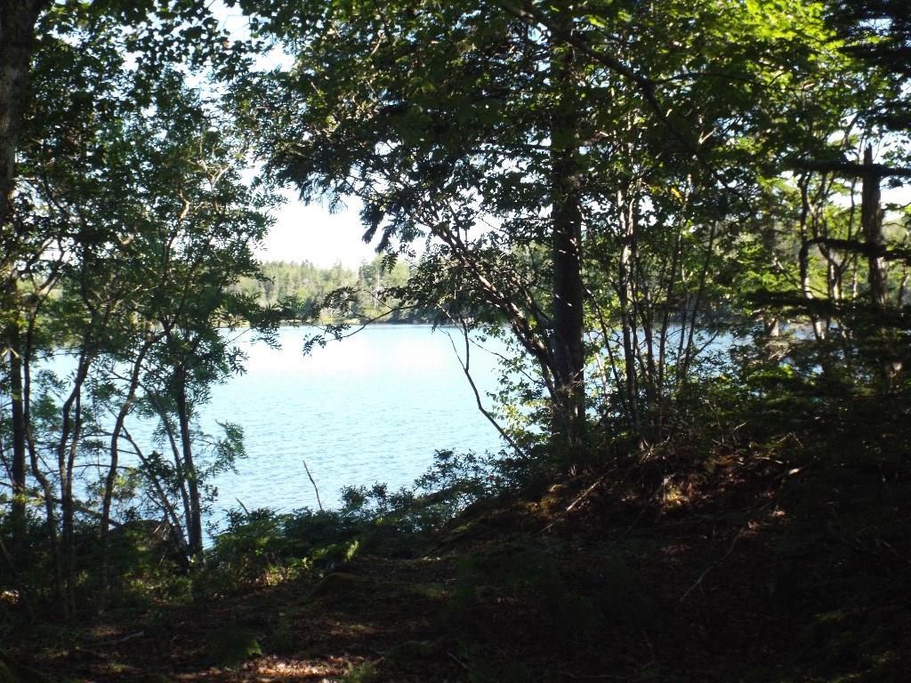 131 Old Harbor Road Vinalhaven, ME 04863 - Photo 7 of 11 A very natural setting.