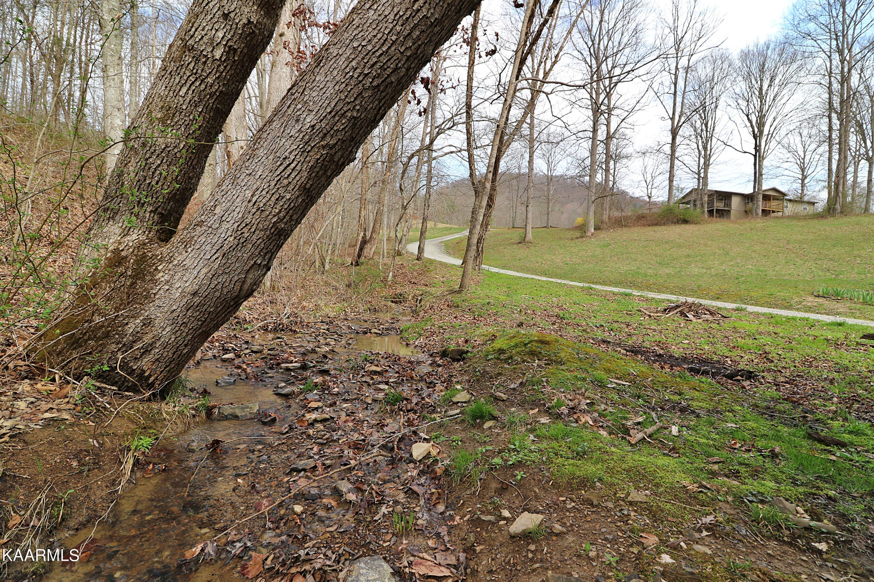 6201 Buffalo Road Oneida, TN 37841 - Photo 2 of 58 094A3039