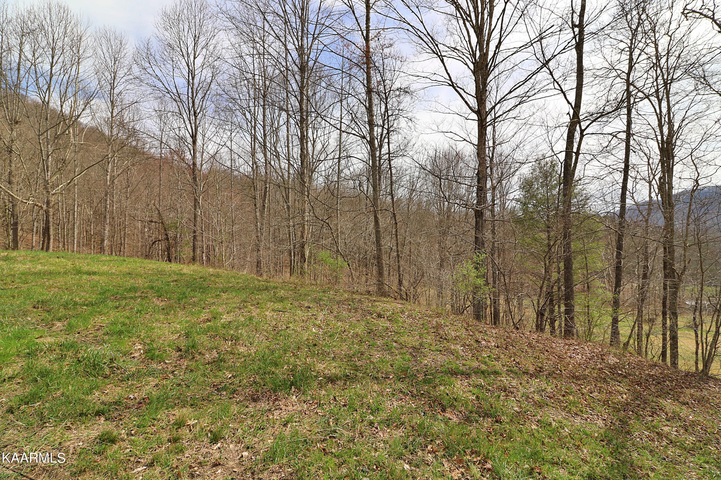 6201 Buffalo Road Oneida, TN 37841 - Photo 31 of 58 094A3012