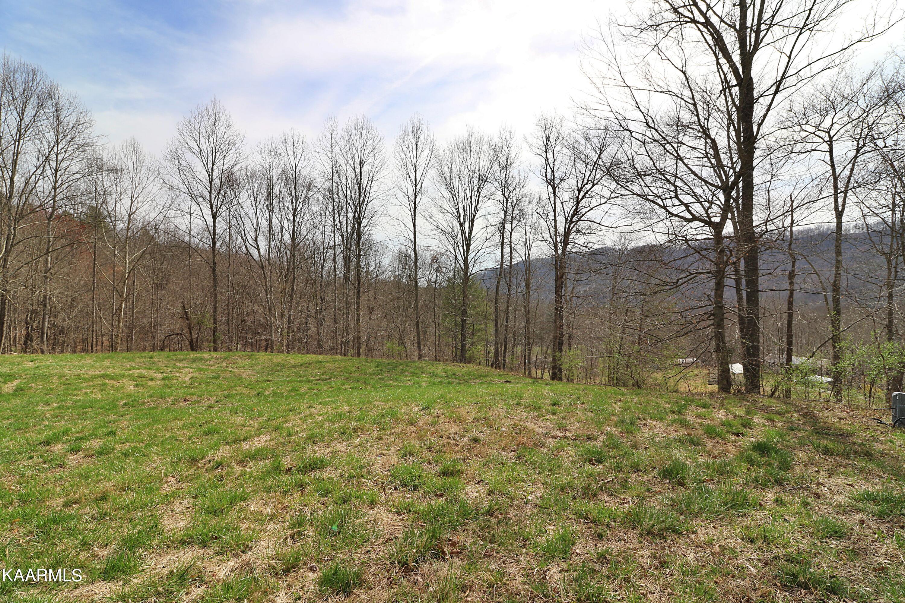 6201 Buffalo Road Oneida, TN 37841 - Photo 32 of 58 094A3007