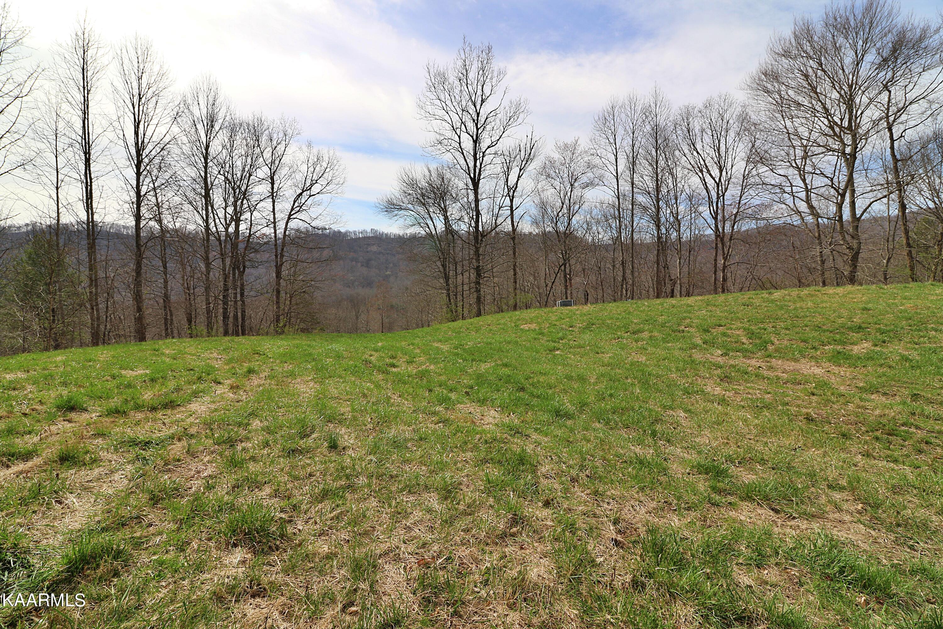 6201 Buffalo Road Oneida, TN 37841 - Photo 33 of 58 094A3005