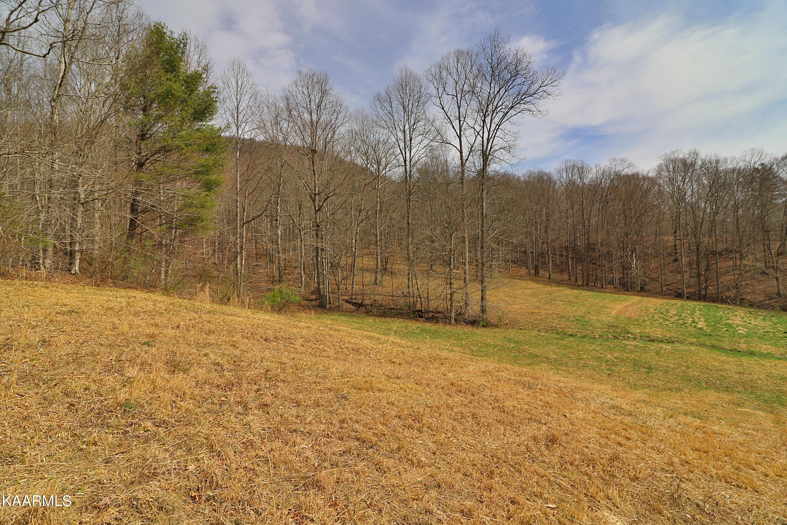 6201 Buffalo Road Oneida, TN 37841 - Photo 35 of 58 094A3022