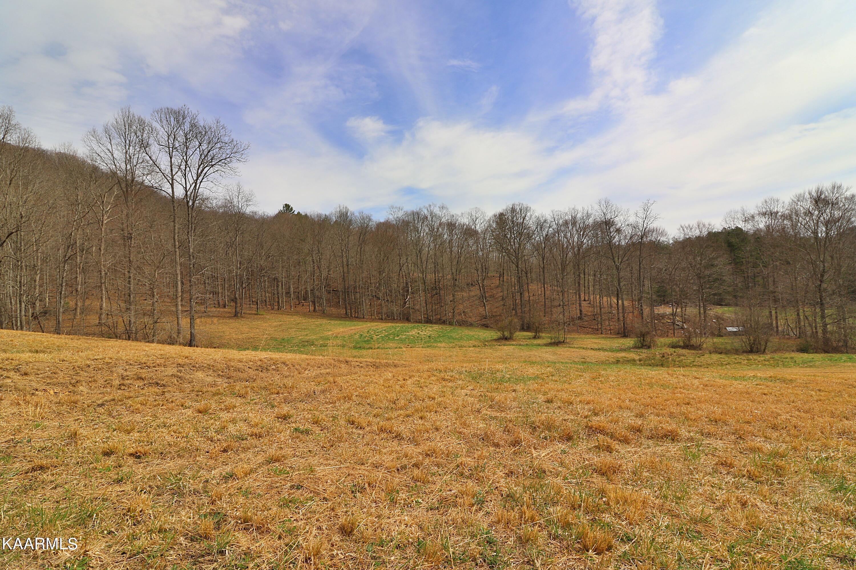 6201 Buffalo Road Oneida, TN 37841 - Photo 37 of 58 094A3025