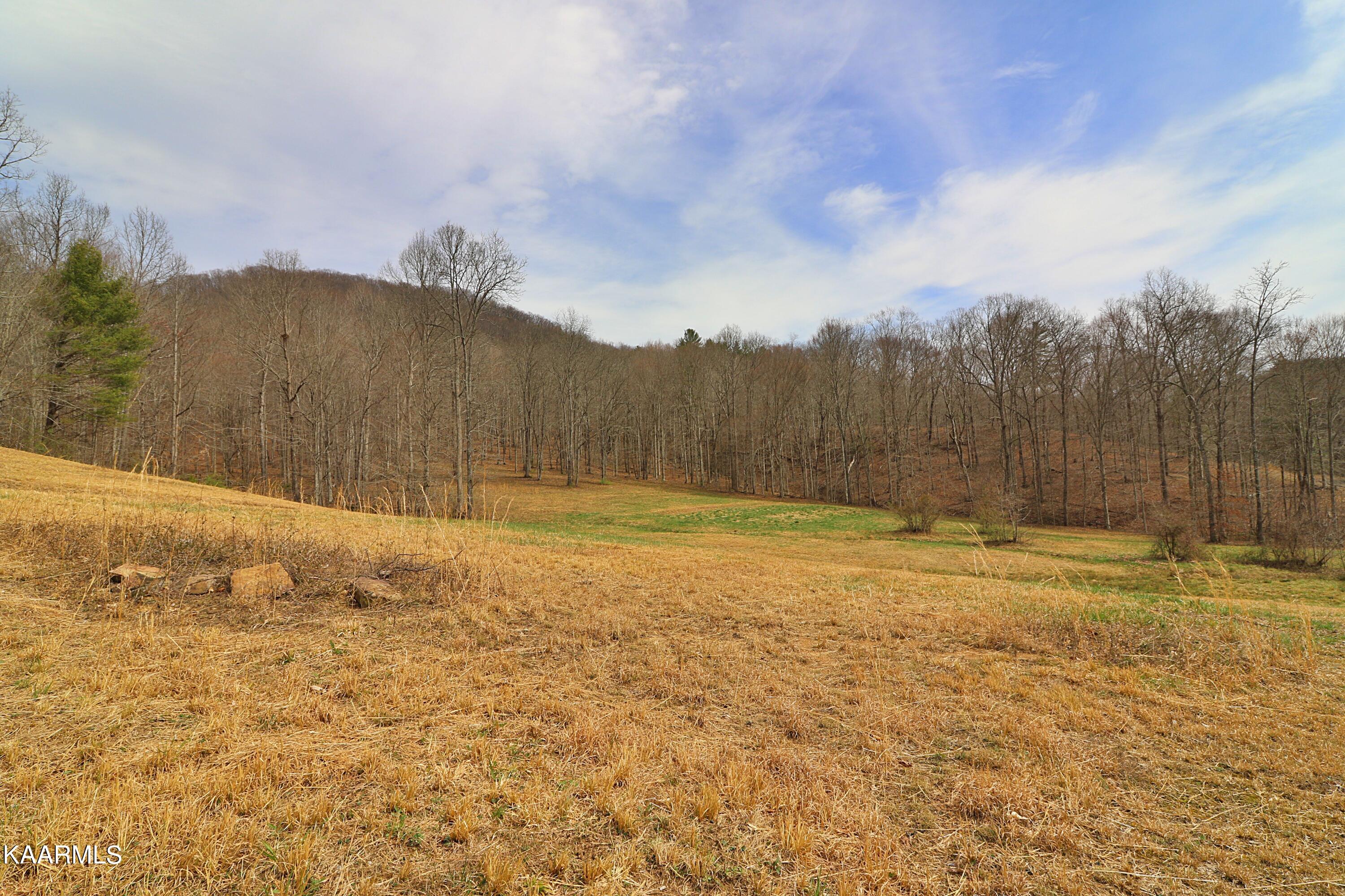 6201 Buffalo Road Oneida, TN 37841 - Photo 38 of 58 094A3026