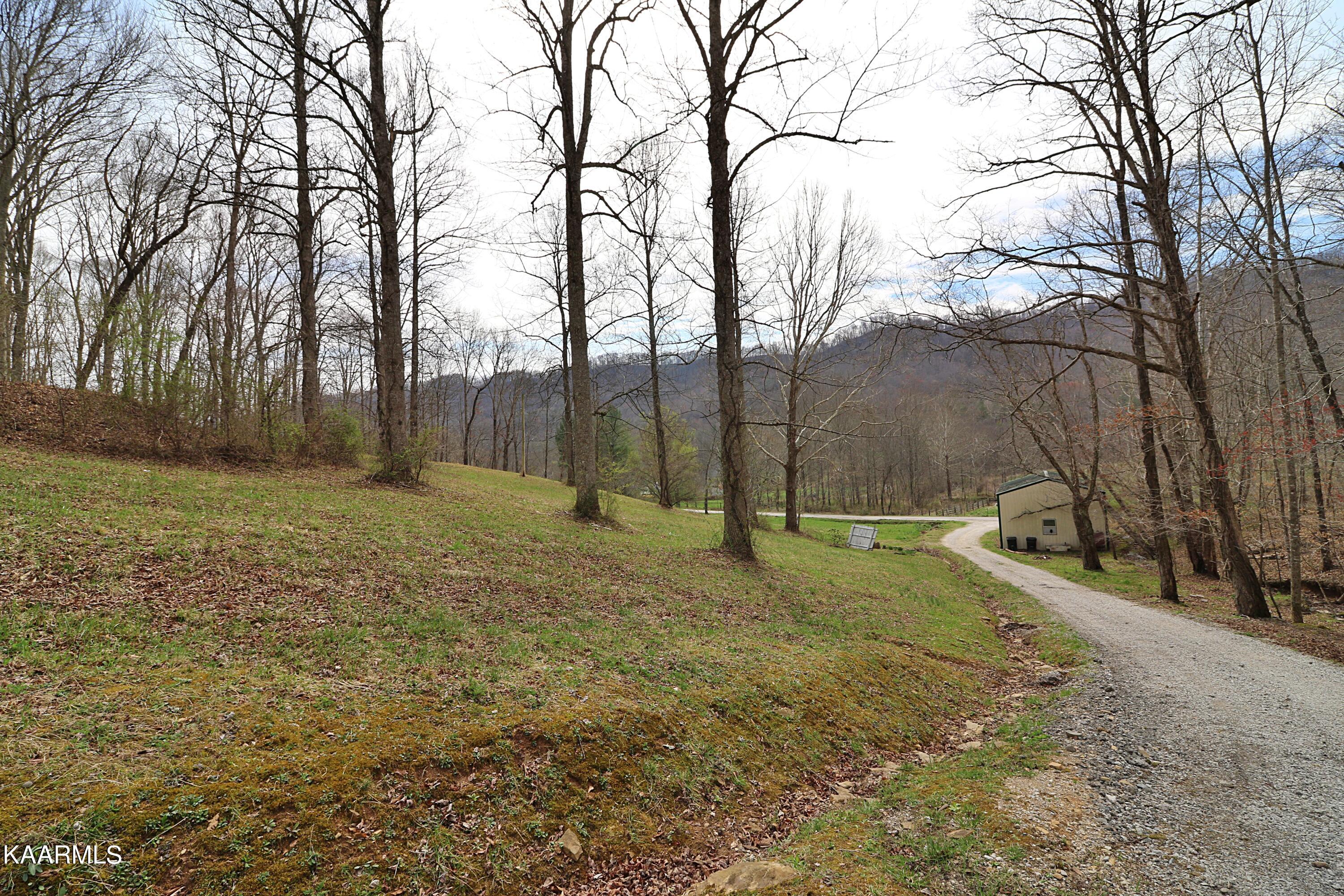 6201 Buffalo Road Oneida, TN 37841 - Photo 39 of 58 094A3027