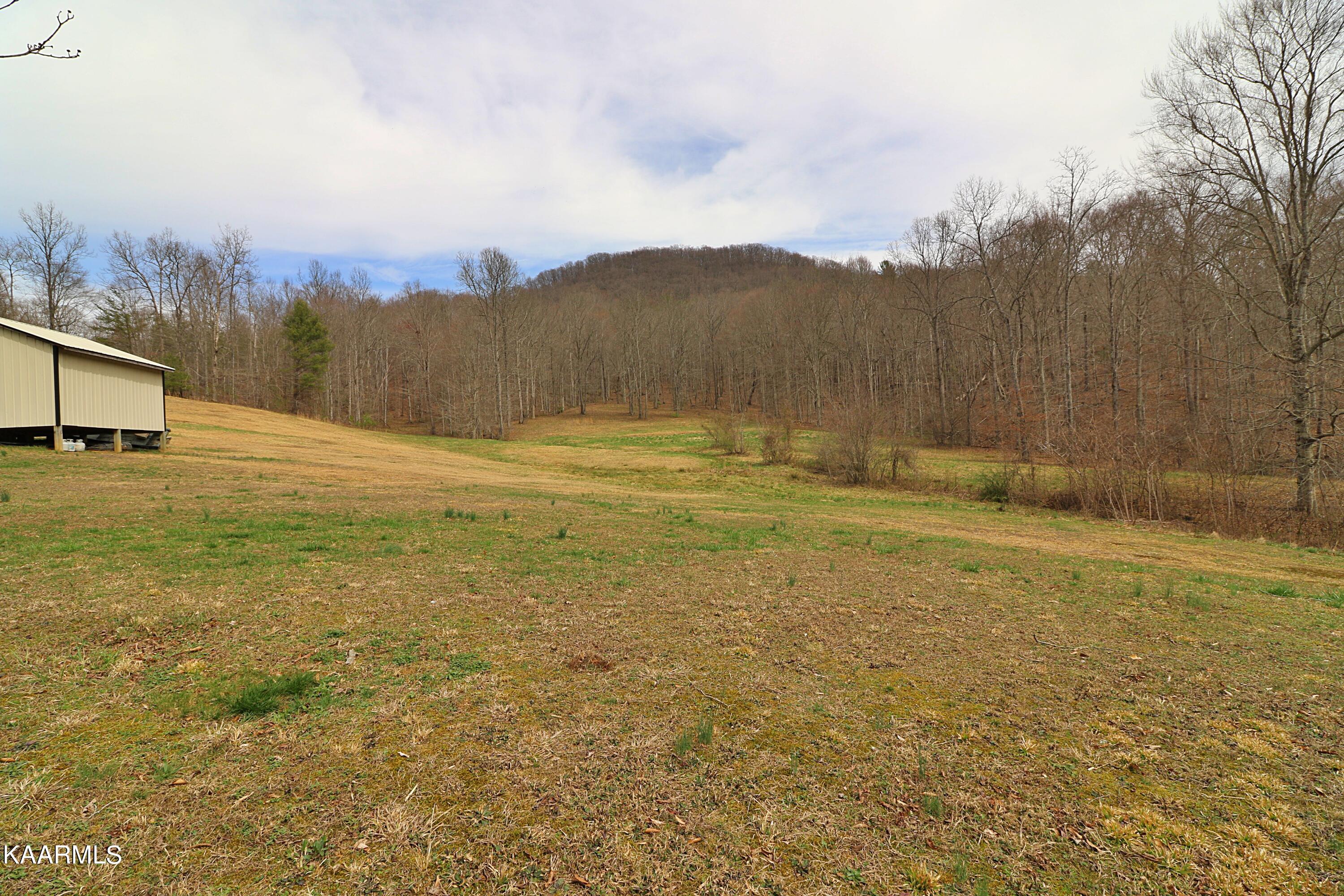 6201 Buffalo Road Oneida, TN 37841 - Photo 40 of 58 094A3001