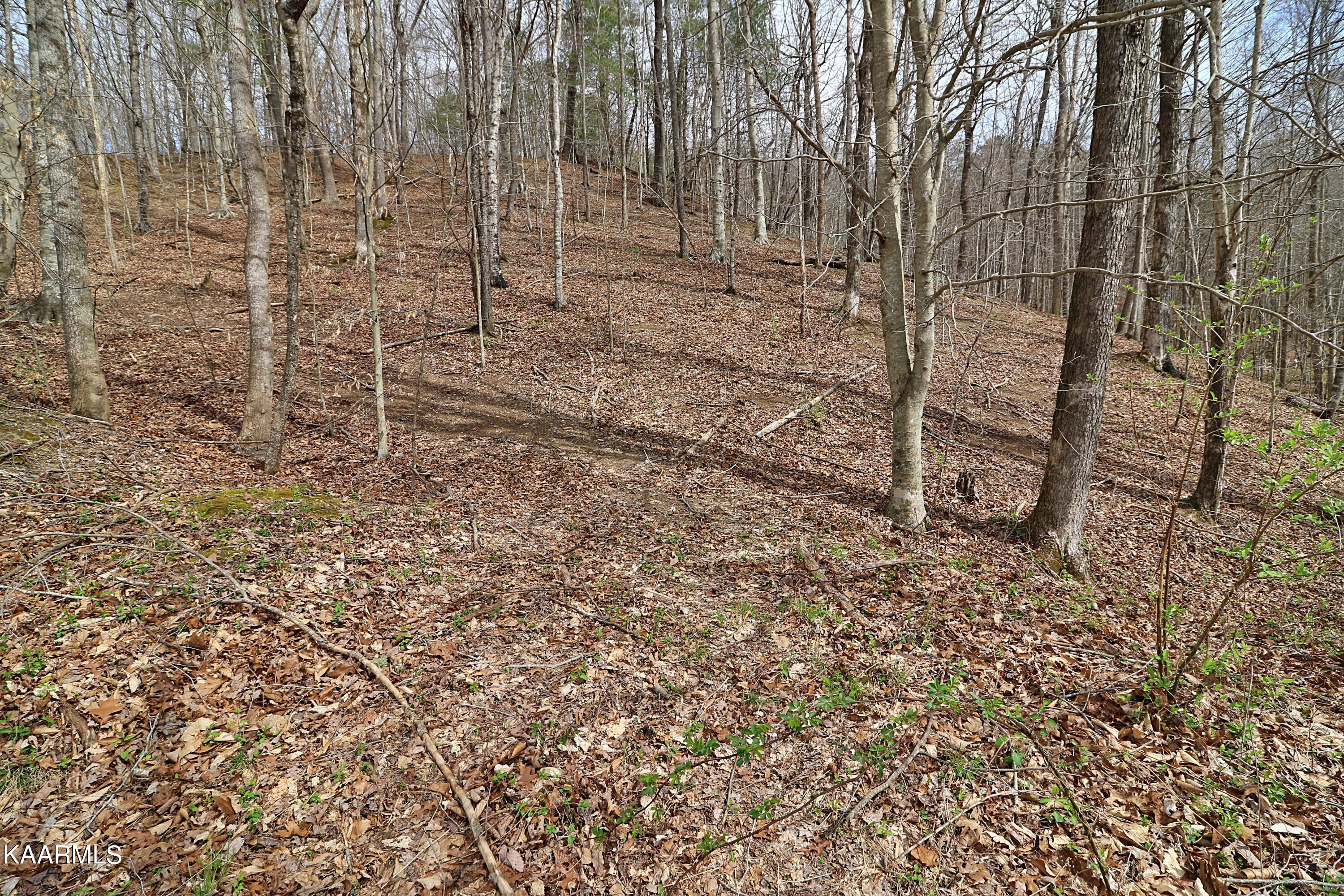 6201 Buffalo Road Oneida, TN 37841 - Photo 41 of 58 094A3015