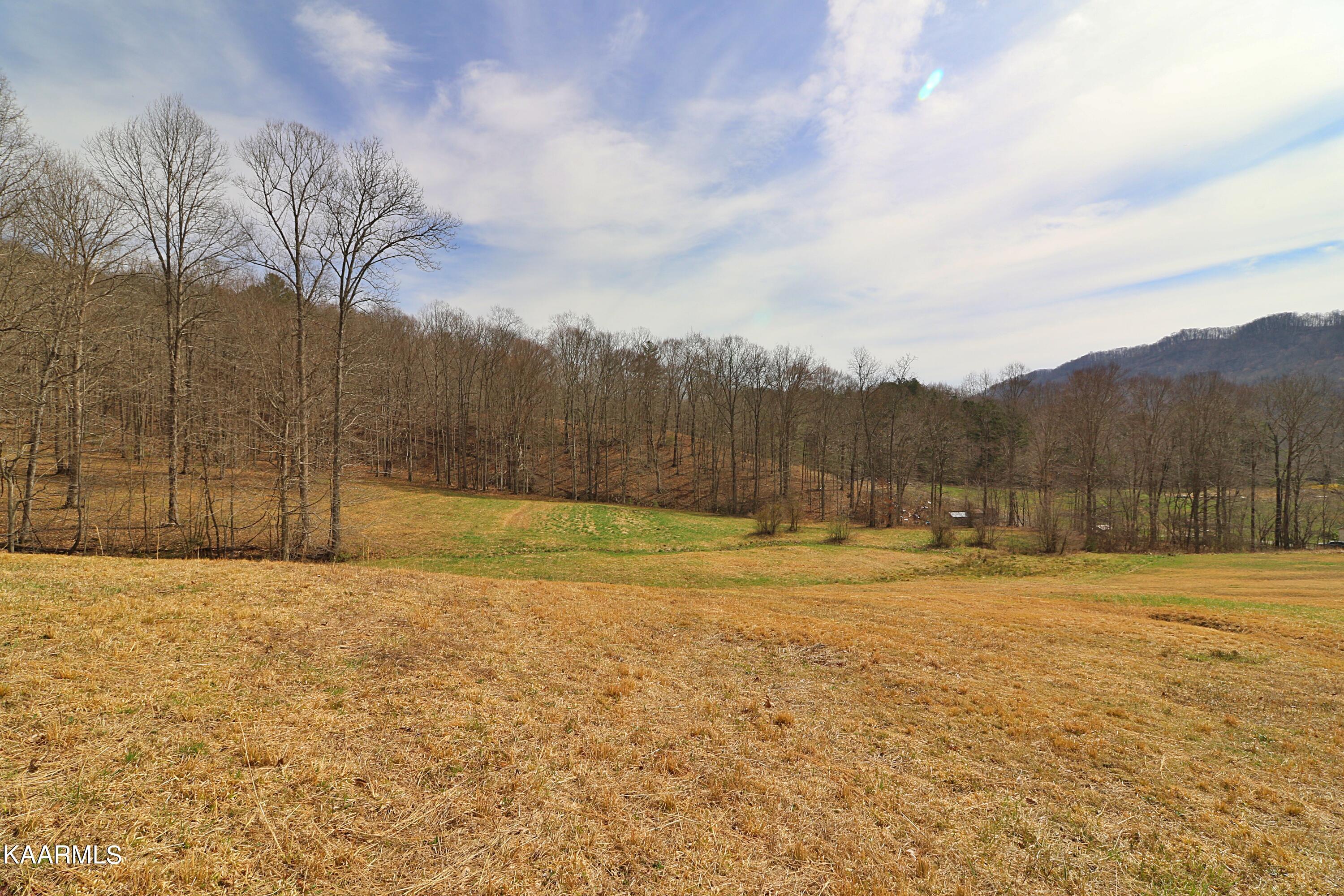 6201 Buffalo Road Oneida, TN 37841 - Photo 42 of 58 094A3020