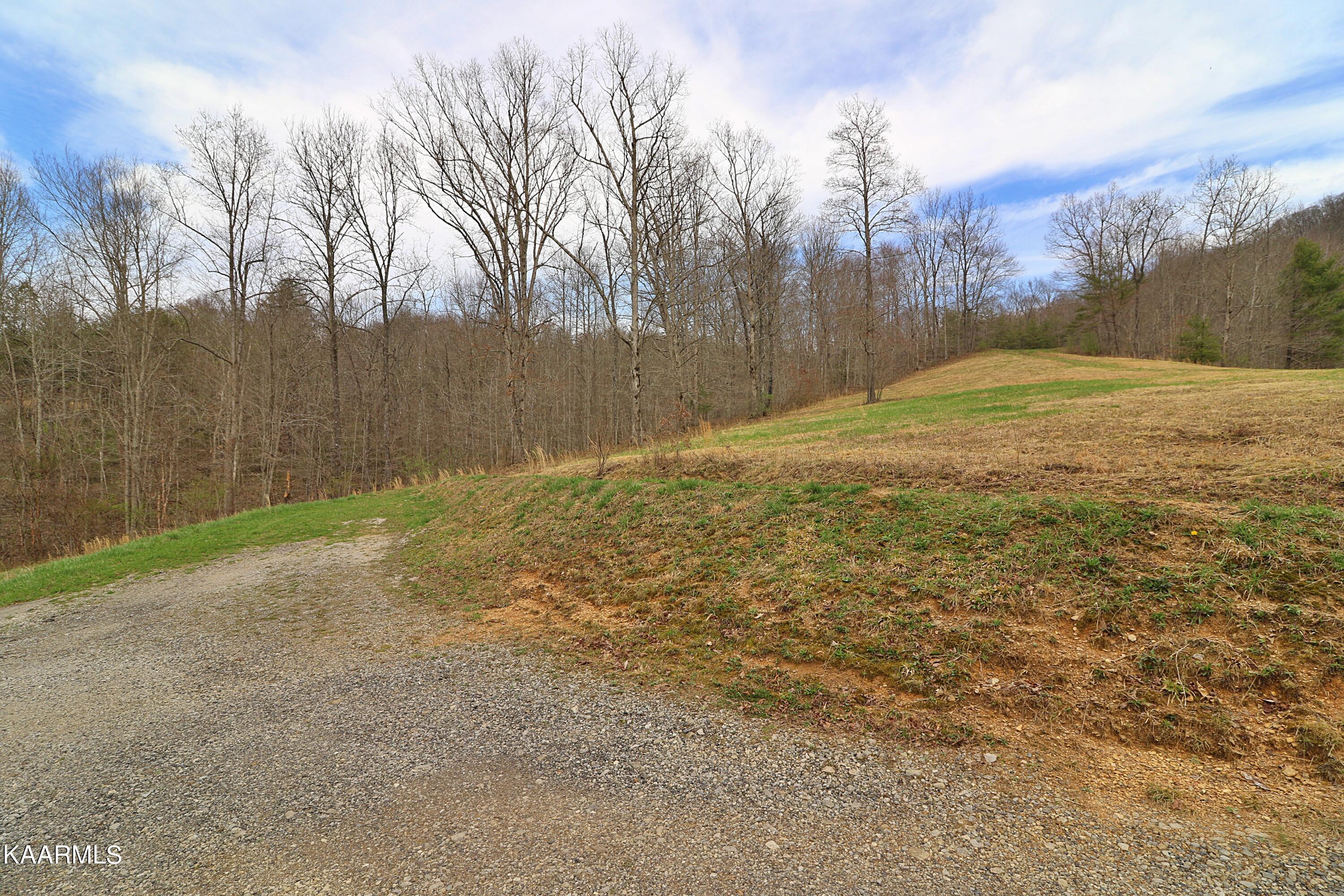 6201 Buffalo Road Oneida, TN 37841 - Photo 47 of 58 094A2984