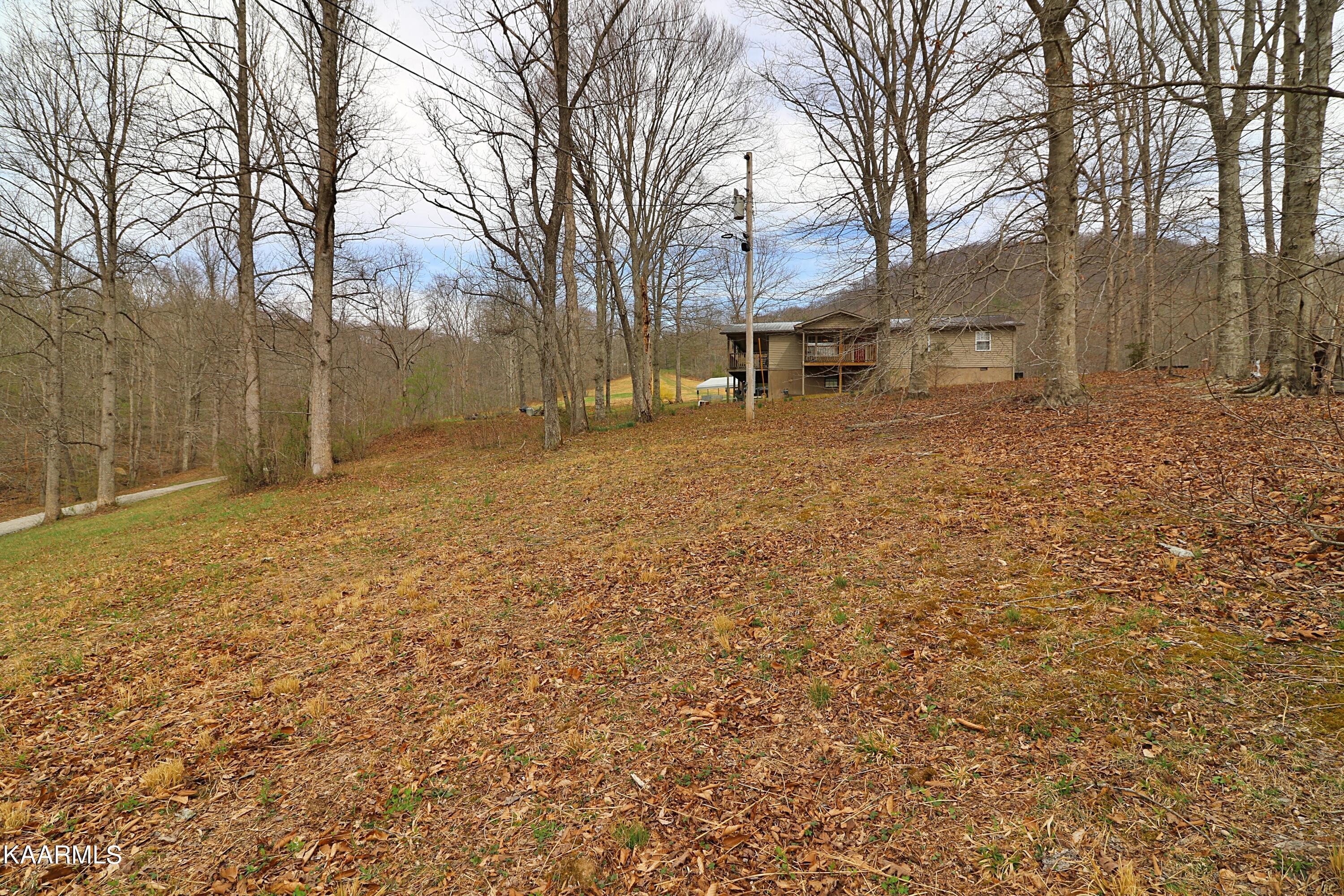 6201 Buffalo Road Oneida, TN 37841 - Photo 49 of 58 094A2994