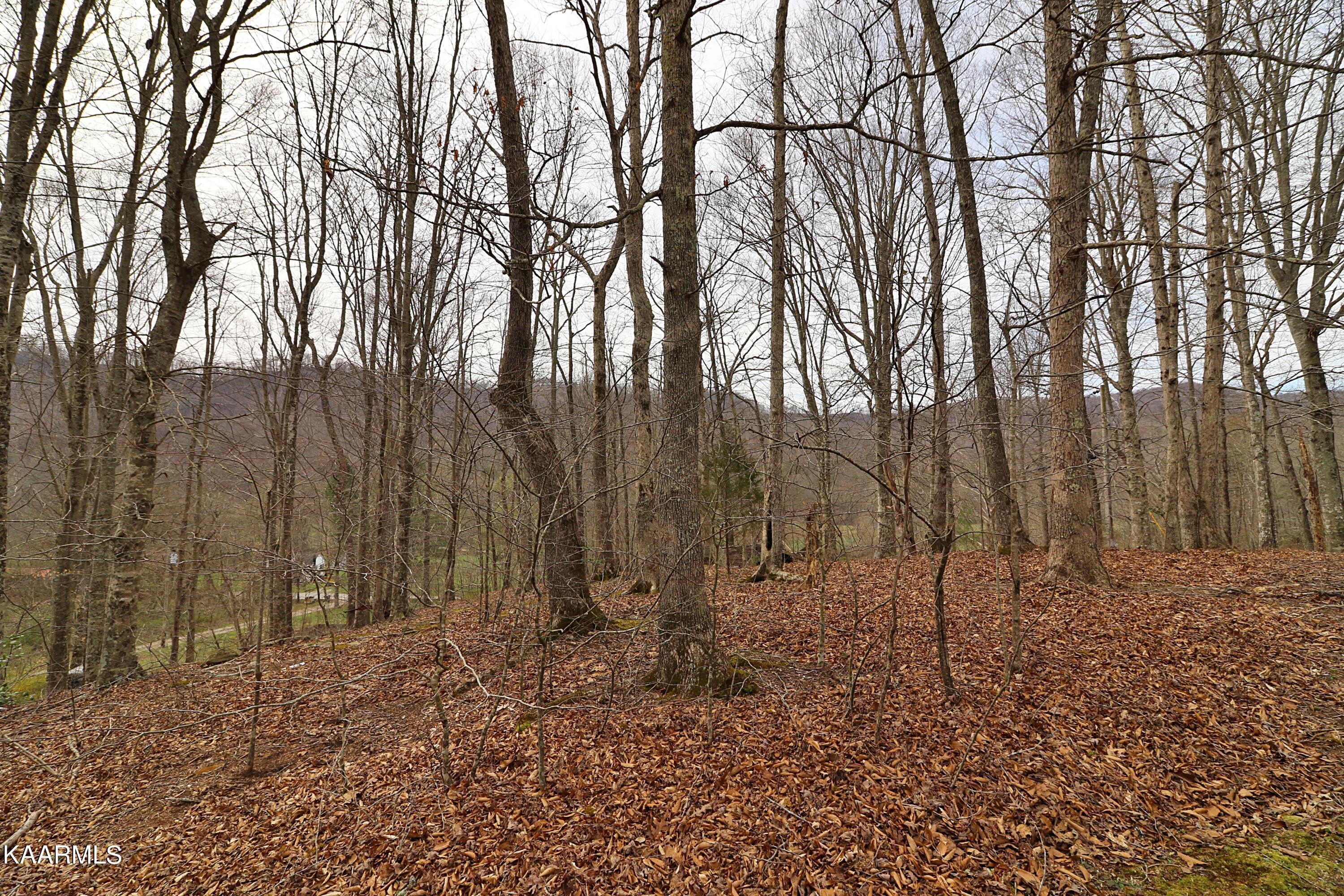 6201 Buffalo Road Oneida, TN 37841 - Photo 52 of 58 094A2998