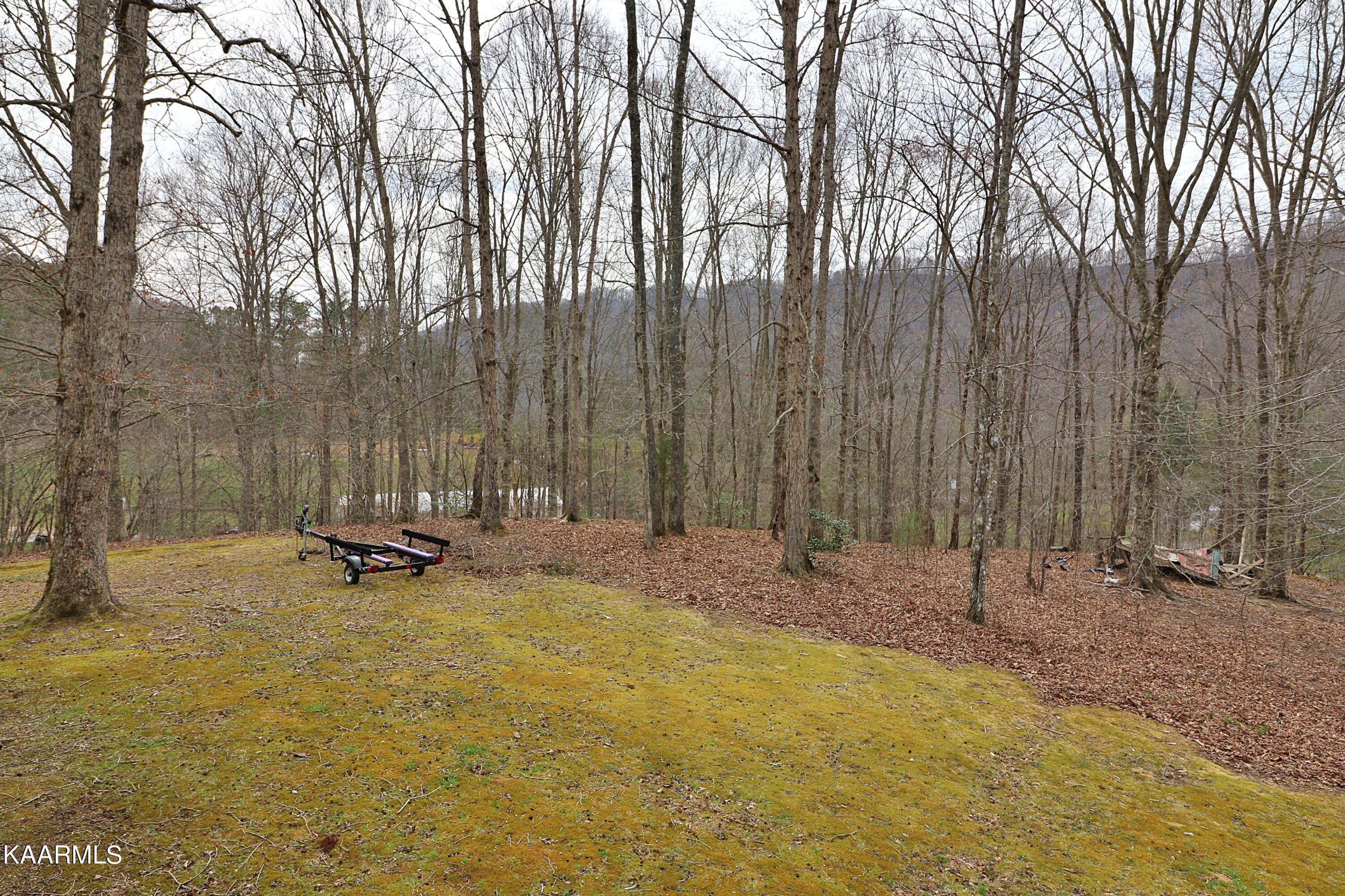 6201 Buffalo Road Oneida, TN 37841 - Photo 54 of 58 094A2959