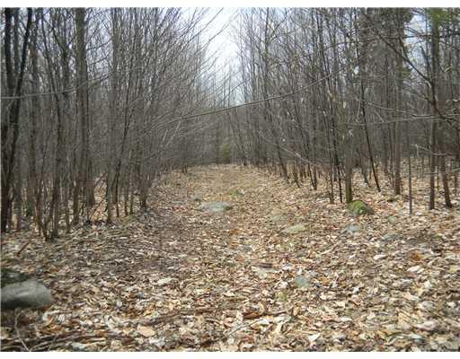 24 Gray Valley Road Guilford, ME 04443 - Photo 4 of 15 Land. Old logging road