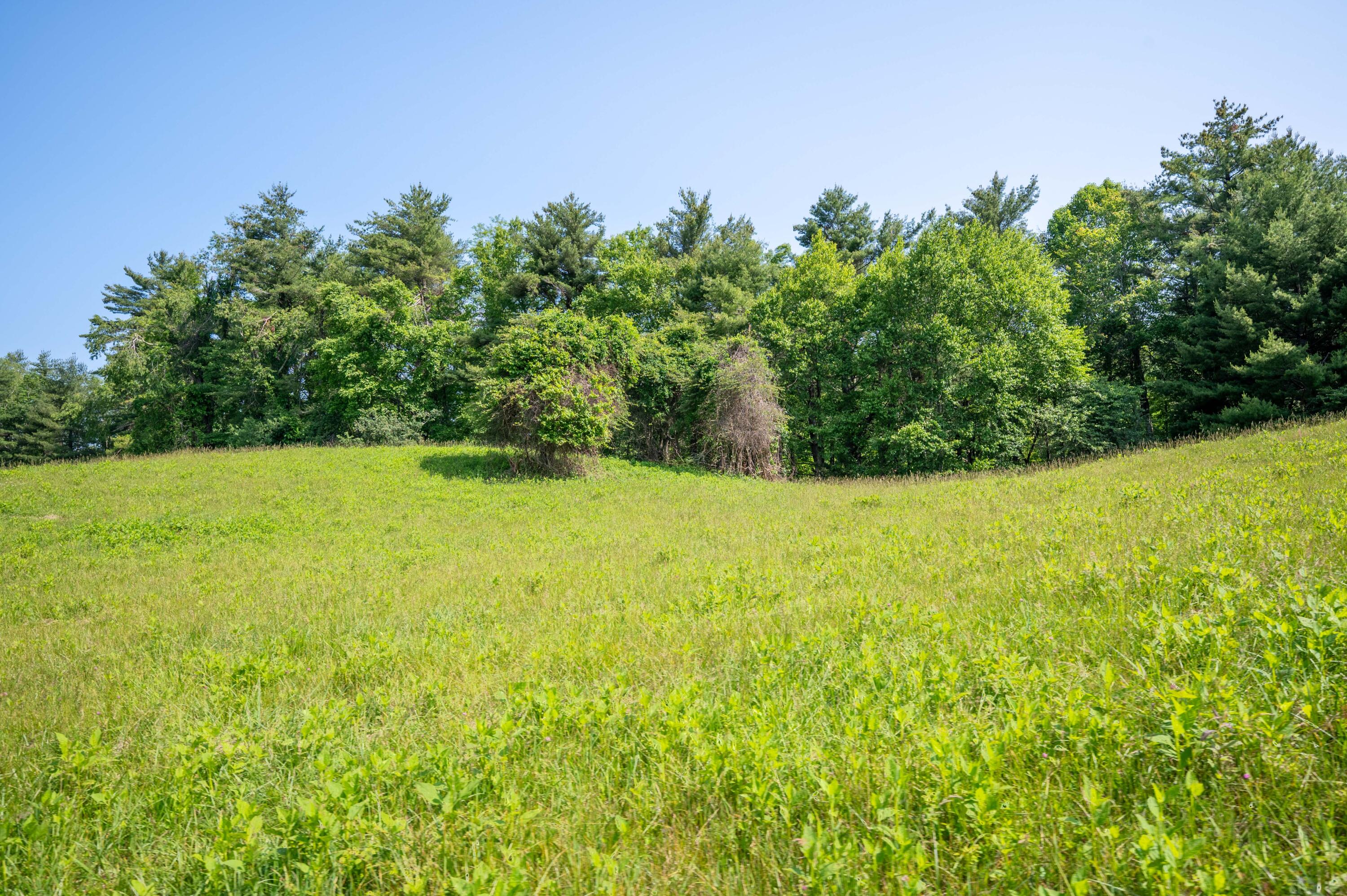 1073 Timberline Road Southeast Copper Hill, VA 24079 - Photo 15 of 56 14