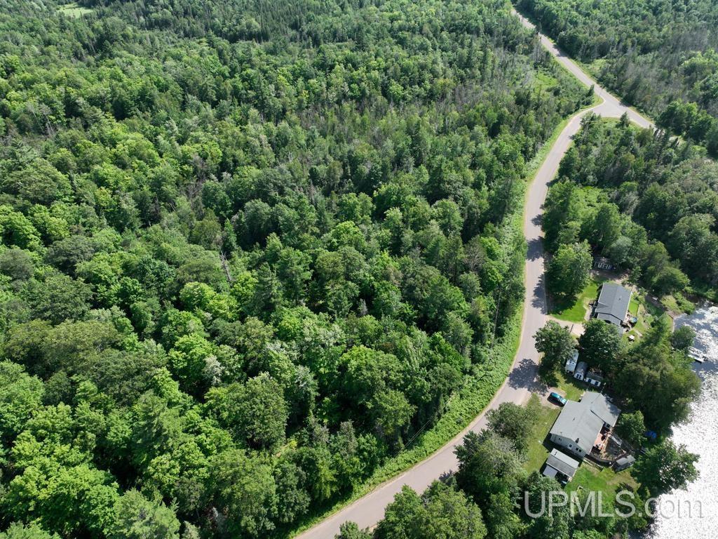 0 Gold Mine Lake Road Ishpeming, MI 49849 - Photo 8 of 19