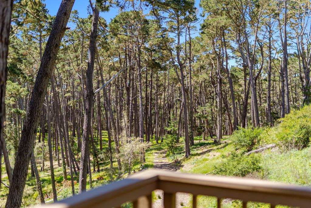 4192 Sunridge Road Pebble Beach, CA 93953 - Photo 26 of 61