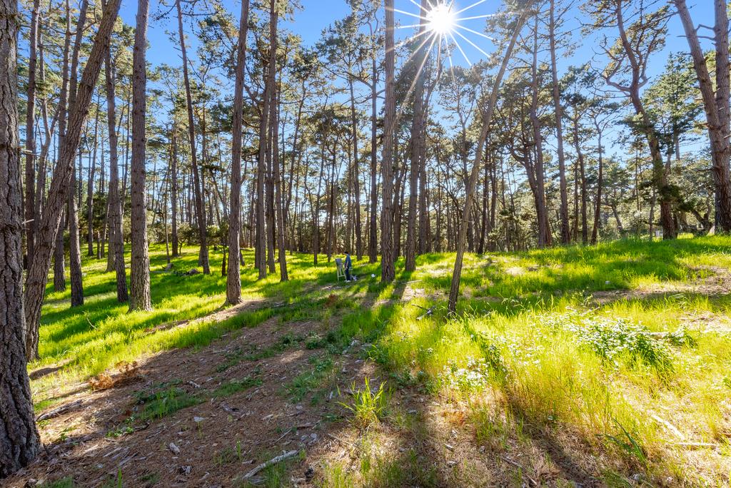4192 Sunridge Road Pebble Beach, CA 93953 - Photo 4 of 61