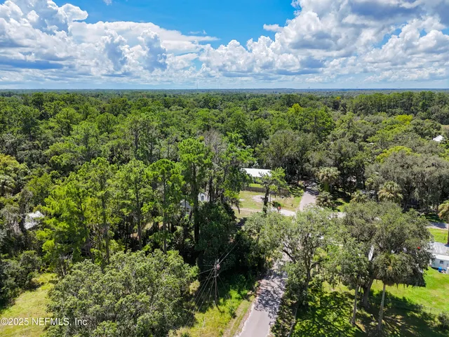 a view of a bunch of trees