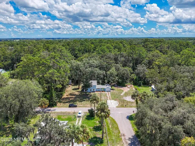a view of a bunch of trees