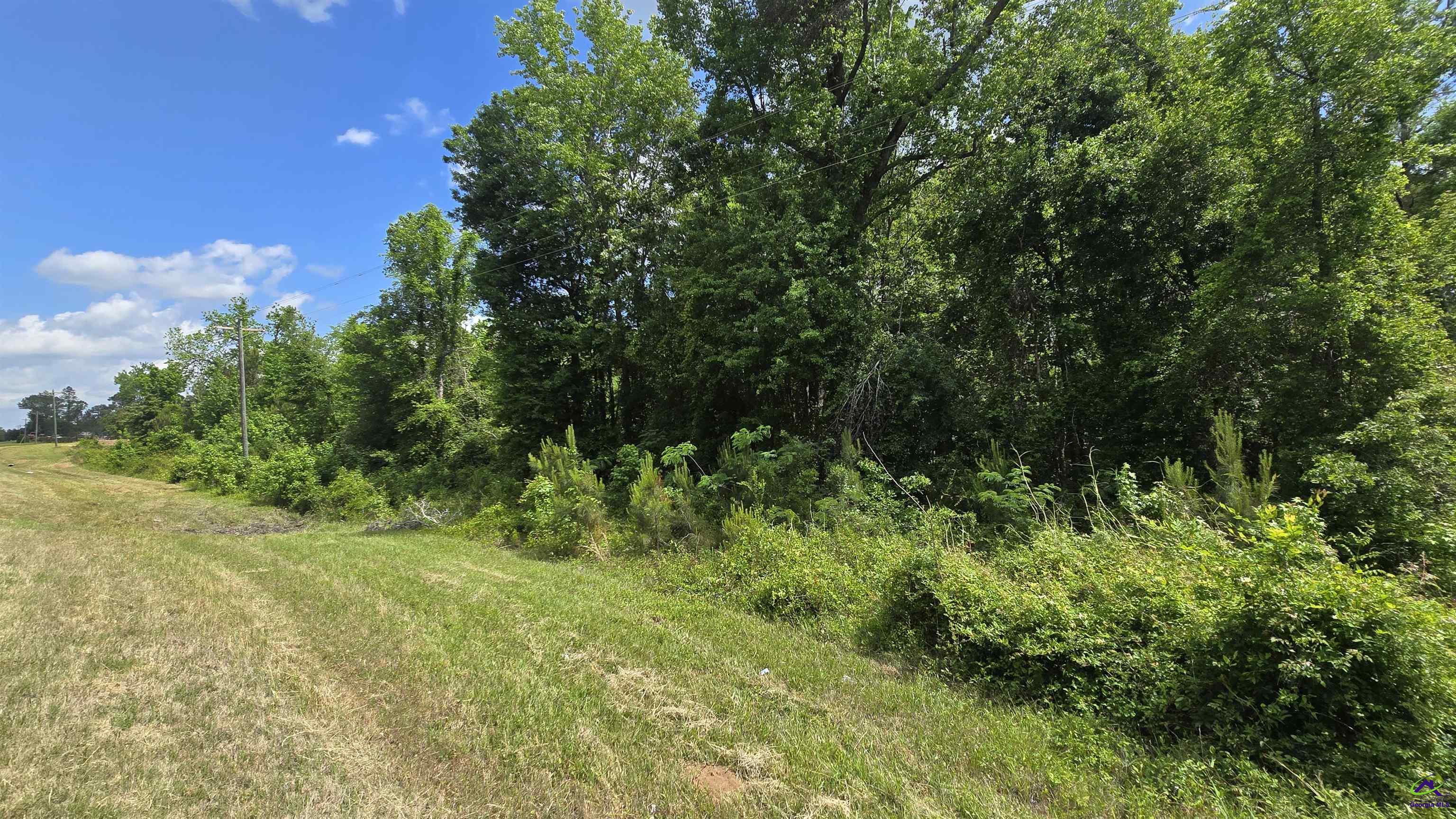 0 South S Highway Dublin, GA 31021 - Photo 4 of 13 a view of a lush green space