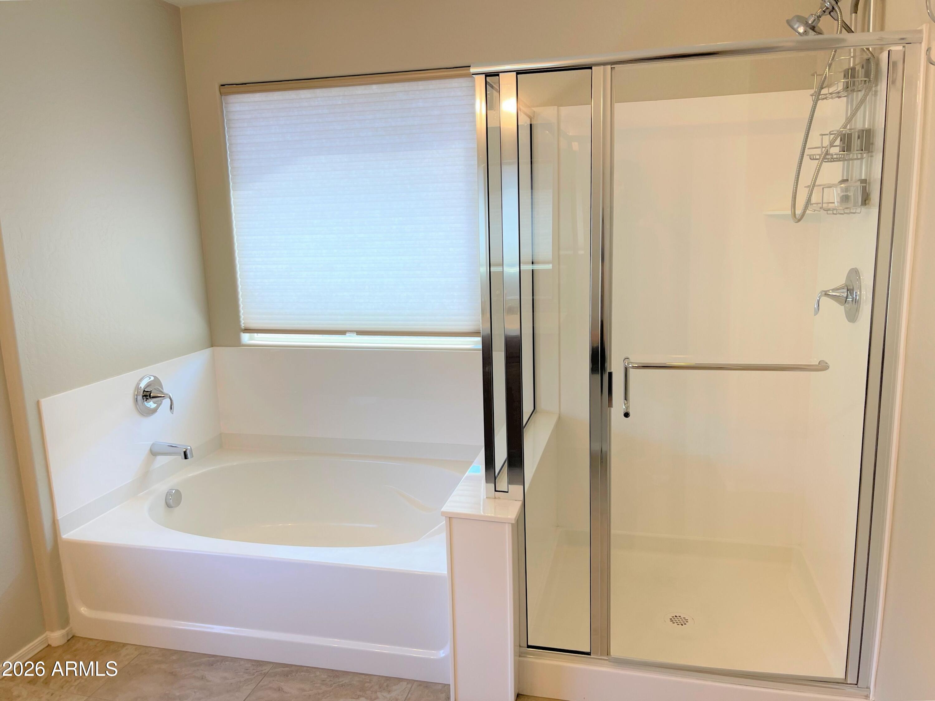 441 North Ranger Trail Gilbert, AZ 85234 - Photo 11 of 21 IMG_5904