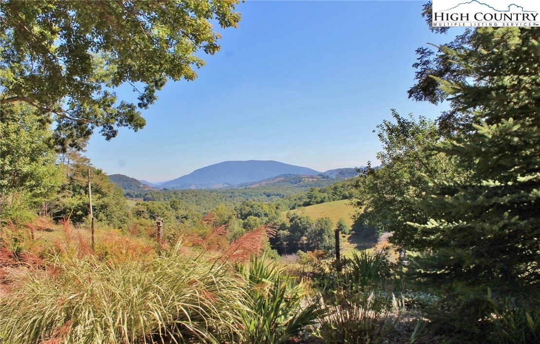 142 Yellow Bear Road Todd, NC 28684 - Photo 16 of 24 Gallery Image 16