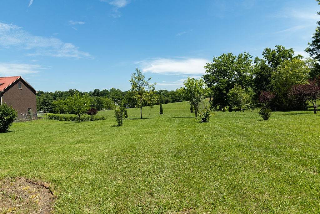 0 Old Coopertown Road Springfield, TN 37172 - Photo 6 of 40