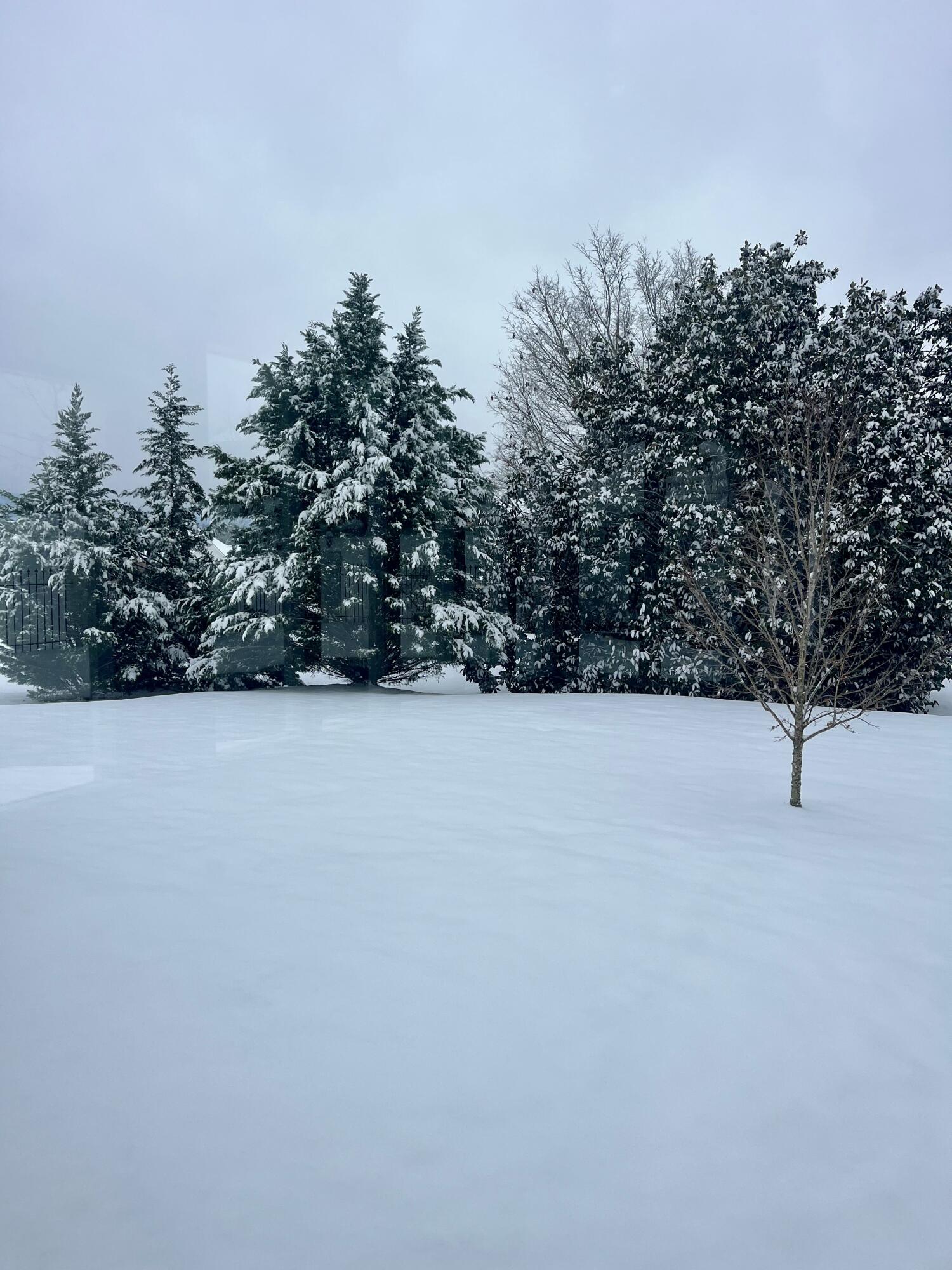 8304 Heron Circle Ooltewah, TN 37363 - Photo 67 of 67 8304 Heron Circle